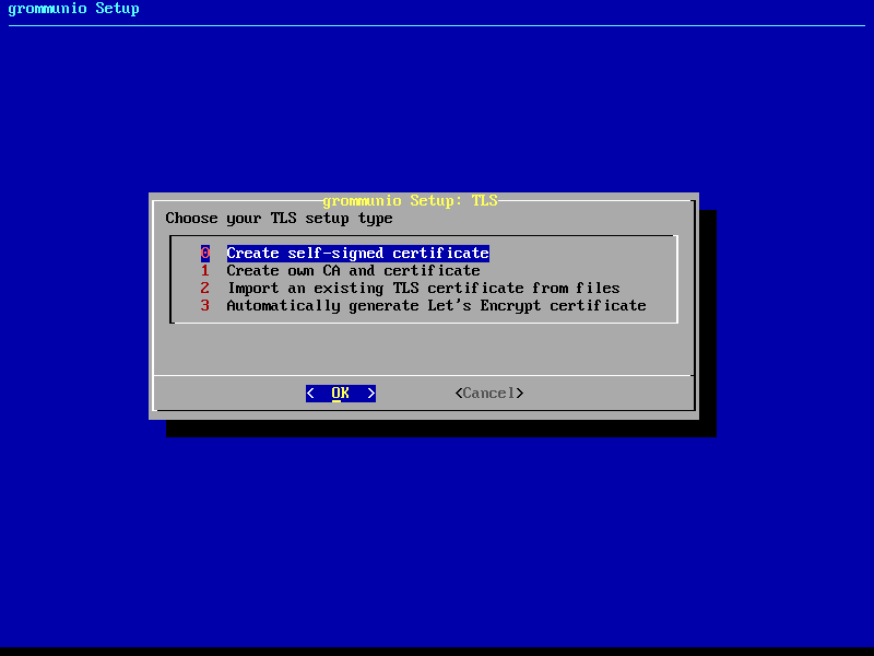 grommunio-setup: choosing the TLS installation mode