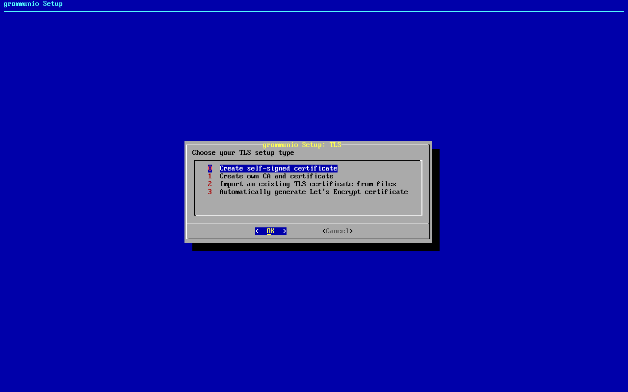 grommunio-setup: choosing the TLS installation mode