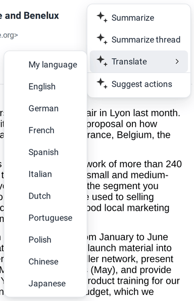 The Translate submenu with My language and ten languages